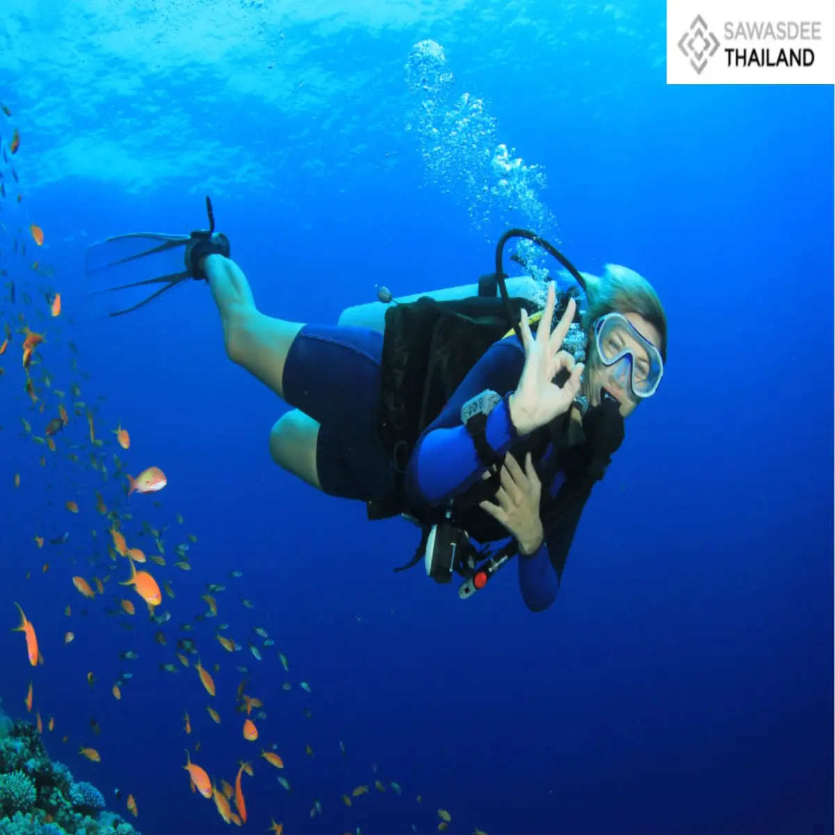 TAT Partners with PADI to Promote Thailand as a Premium Wellness-Led Diving Destination
