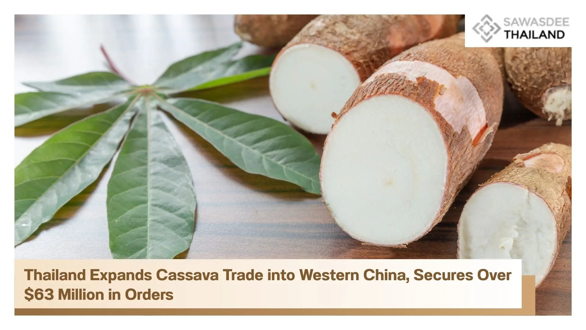 Thailand Expands Cassava Trade into Western China, Secures Over $63 Million in Orders