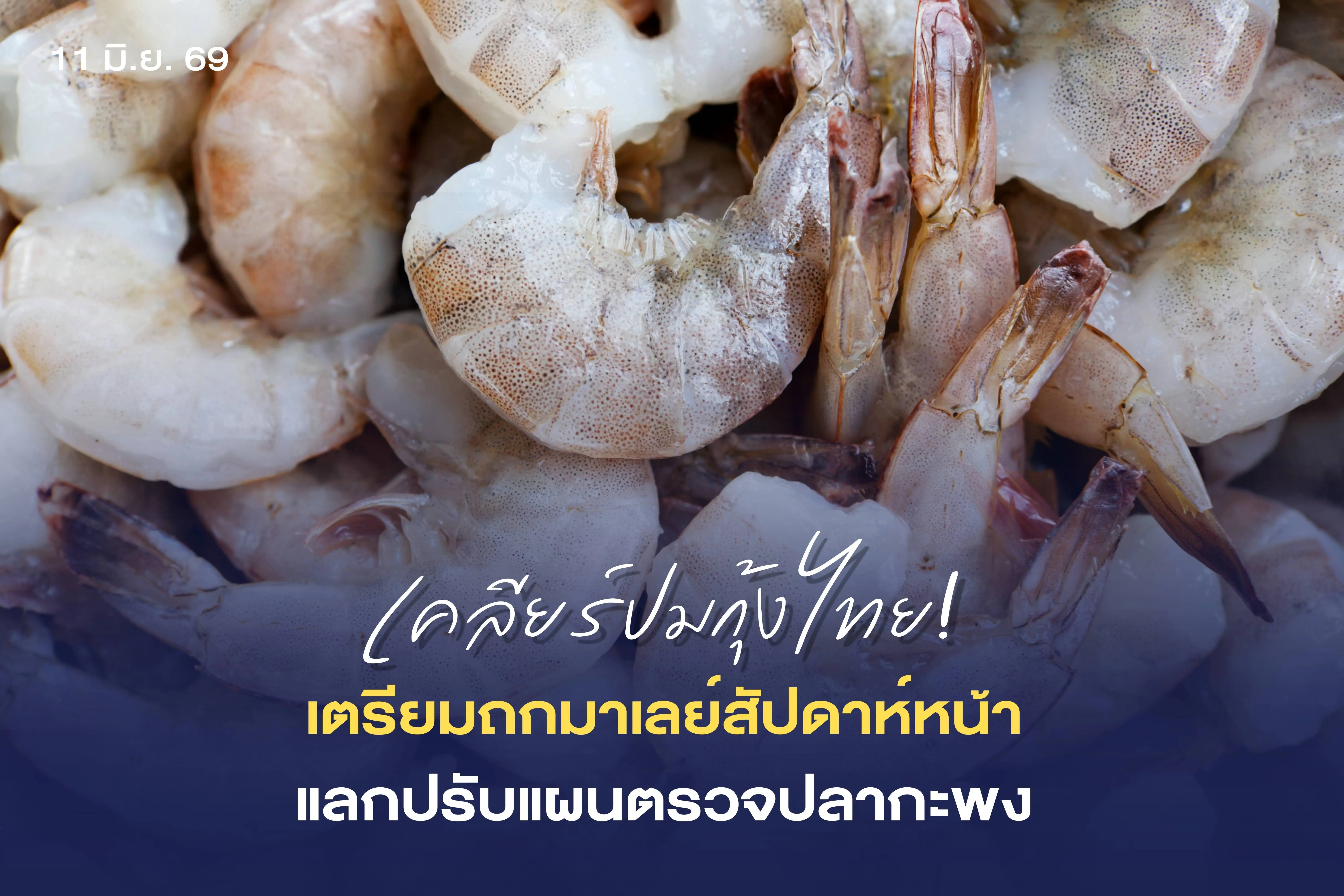 รัฐบาลเดินเกมรุกแก้ปมกุ้งไทย “...