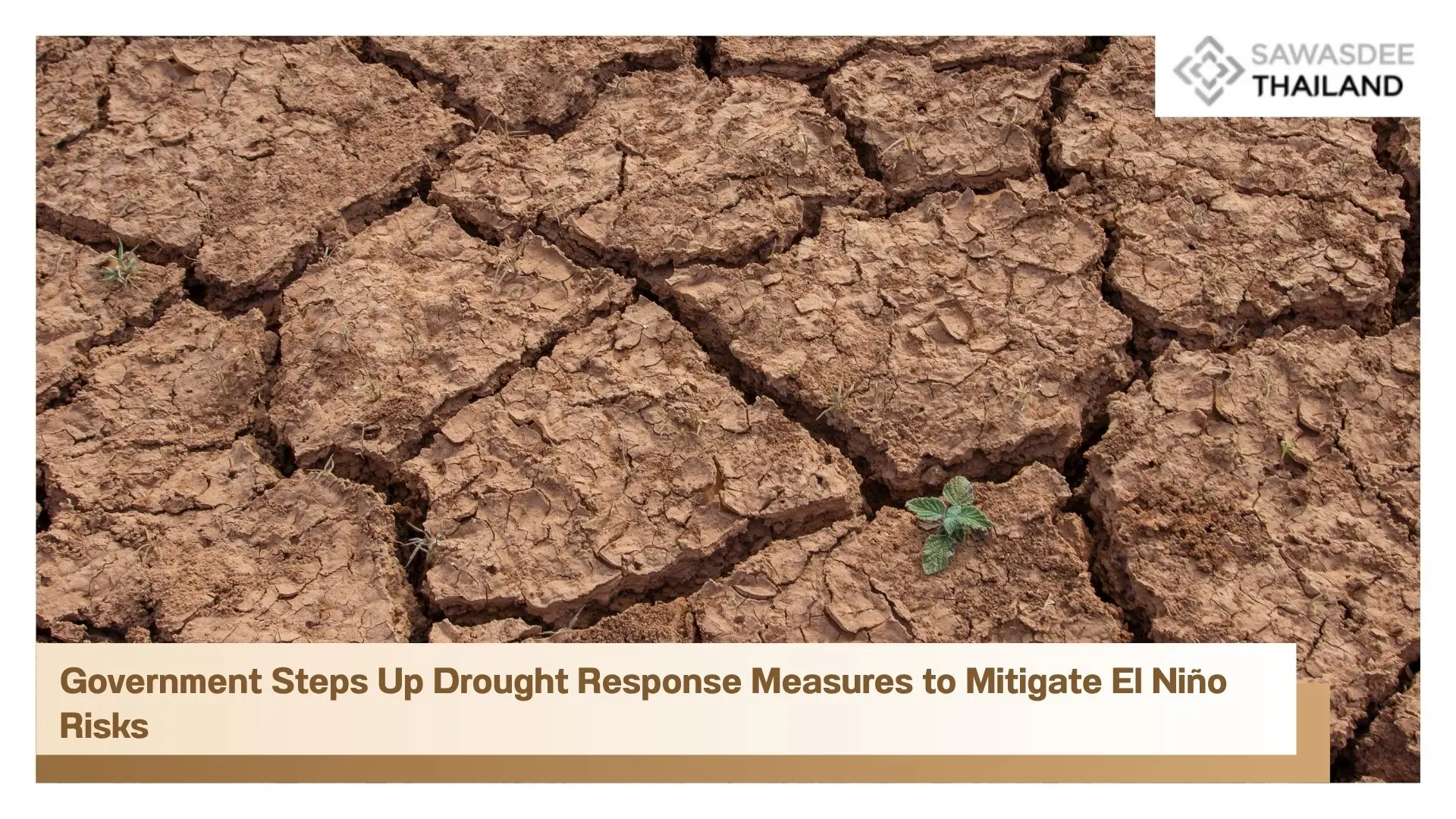 Government Steps Up Drought Re...
