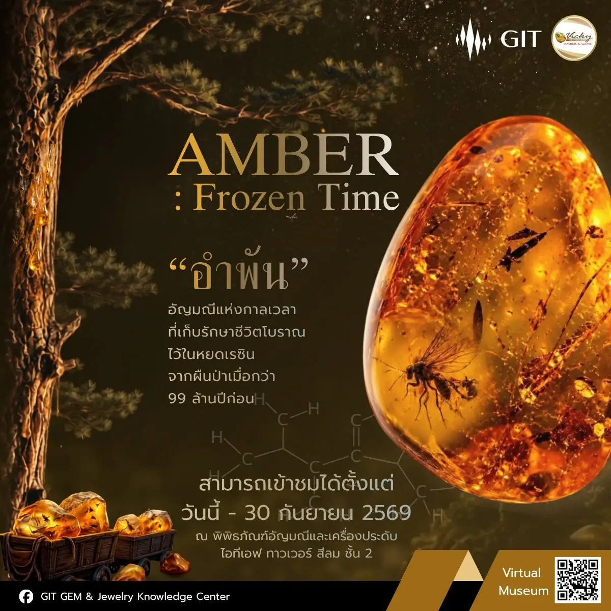 Amber: Frozen Time Exhibition...